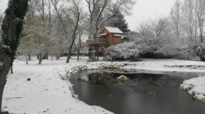 Cabane perchée avec jacuzzi extérieur non couvert